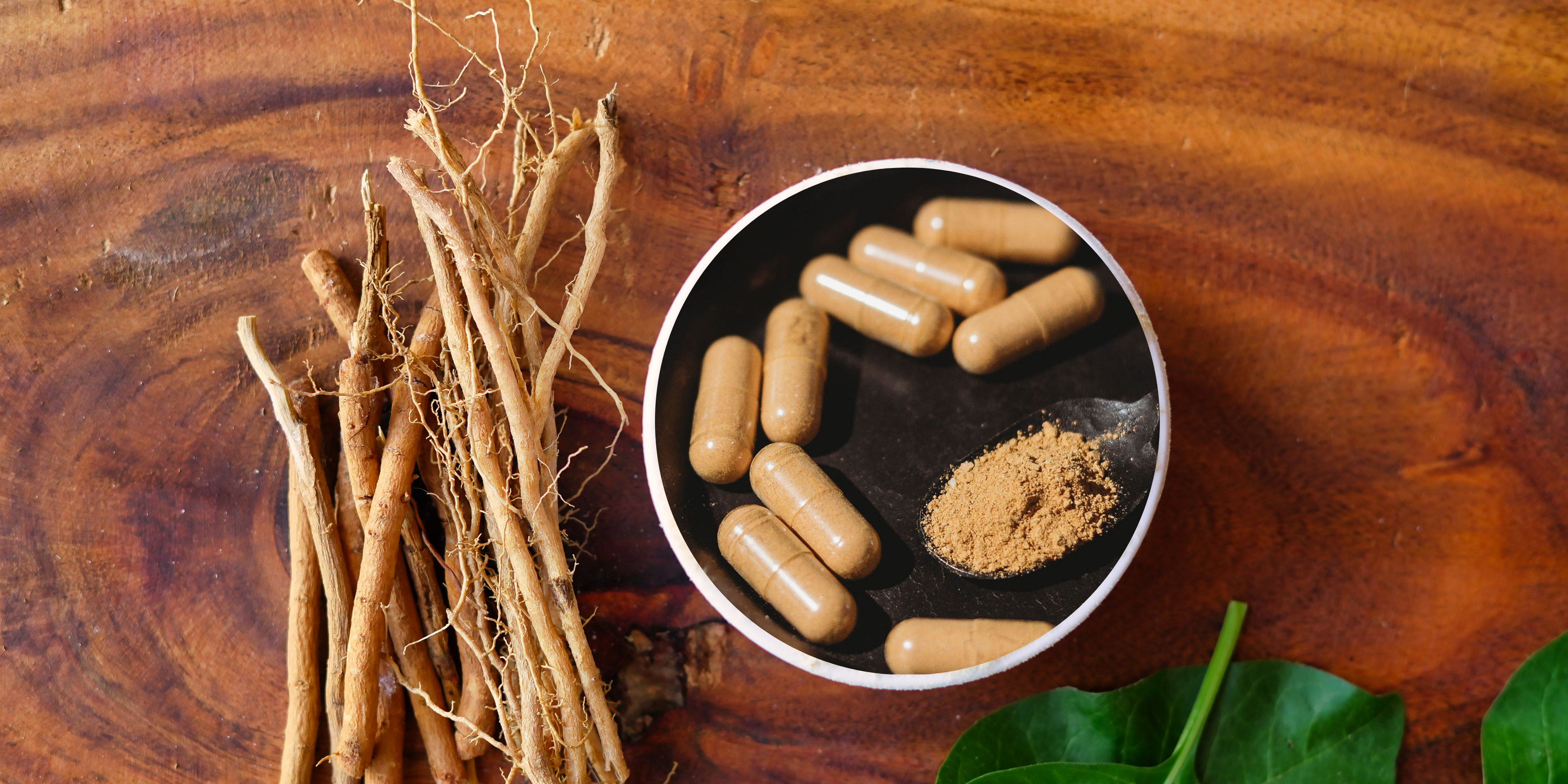 Embracing the power of adaptogens with STMNA Bioactives