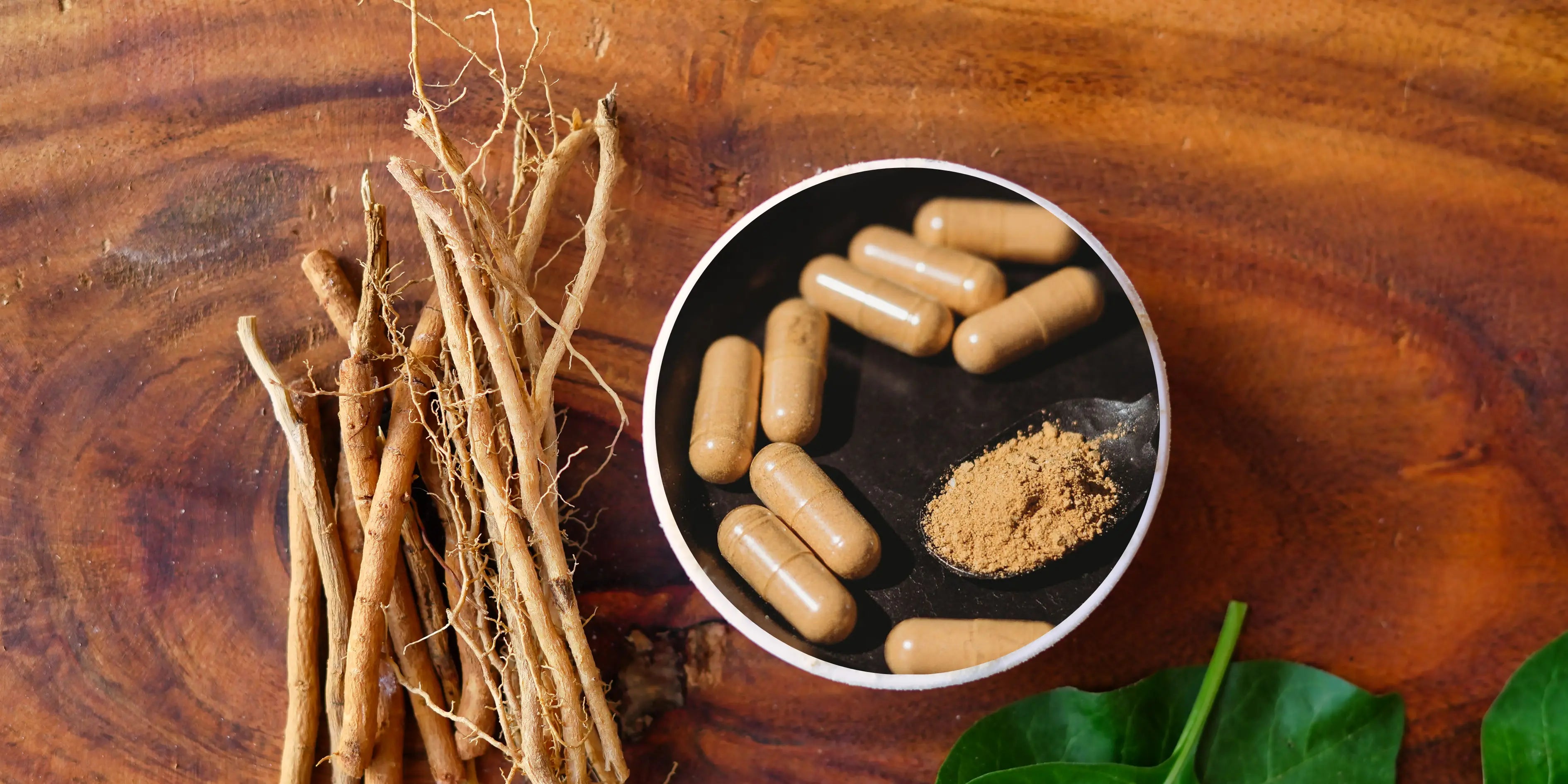 Embracing the power of adaptogens with STMNA Bioactives STMNA Bioactives