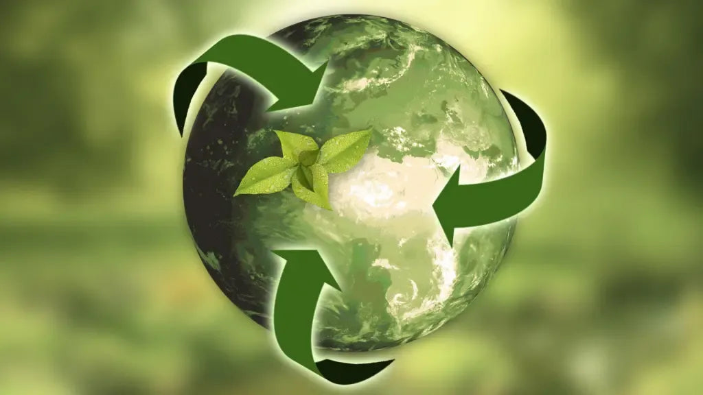 STMNA Bioactives: A Supplement Company Navigating the Complexities of Sustainable Packaging