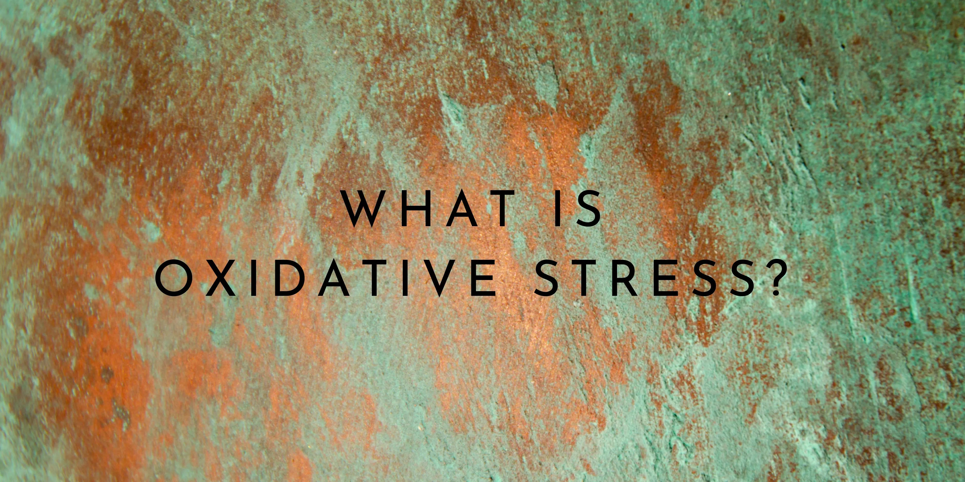 What is Oxidative Stress