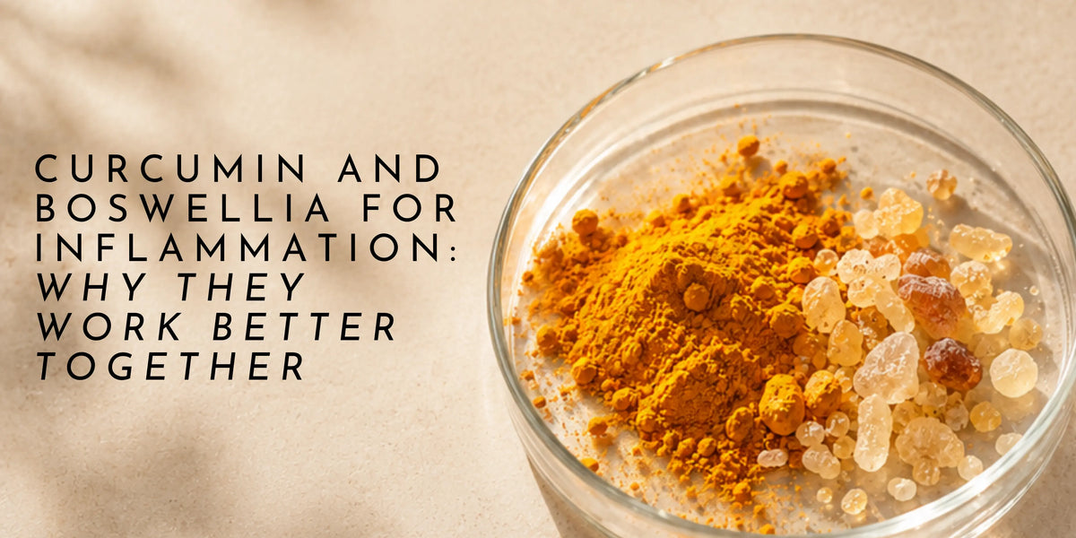 Curcumin and Boswellia for Inflammation: Why They Work Better Together
