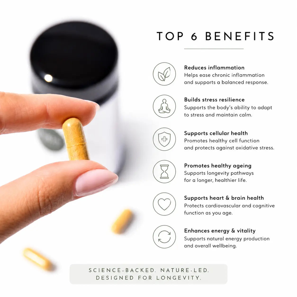 STMNA Bioactives - Healthspan Supplement - Refillable Jar (60 capsules)