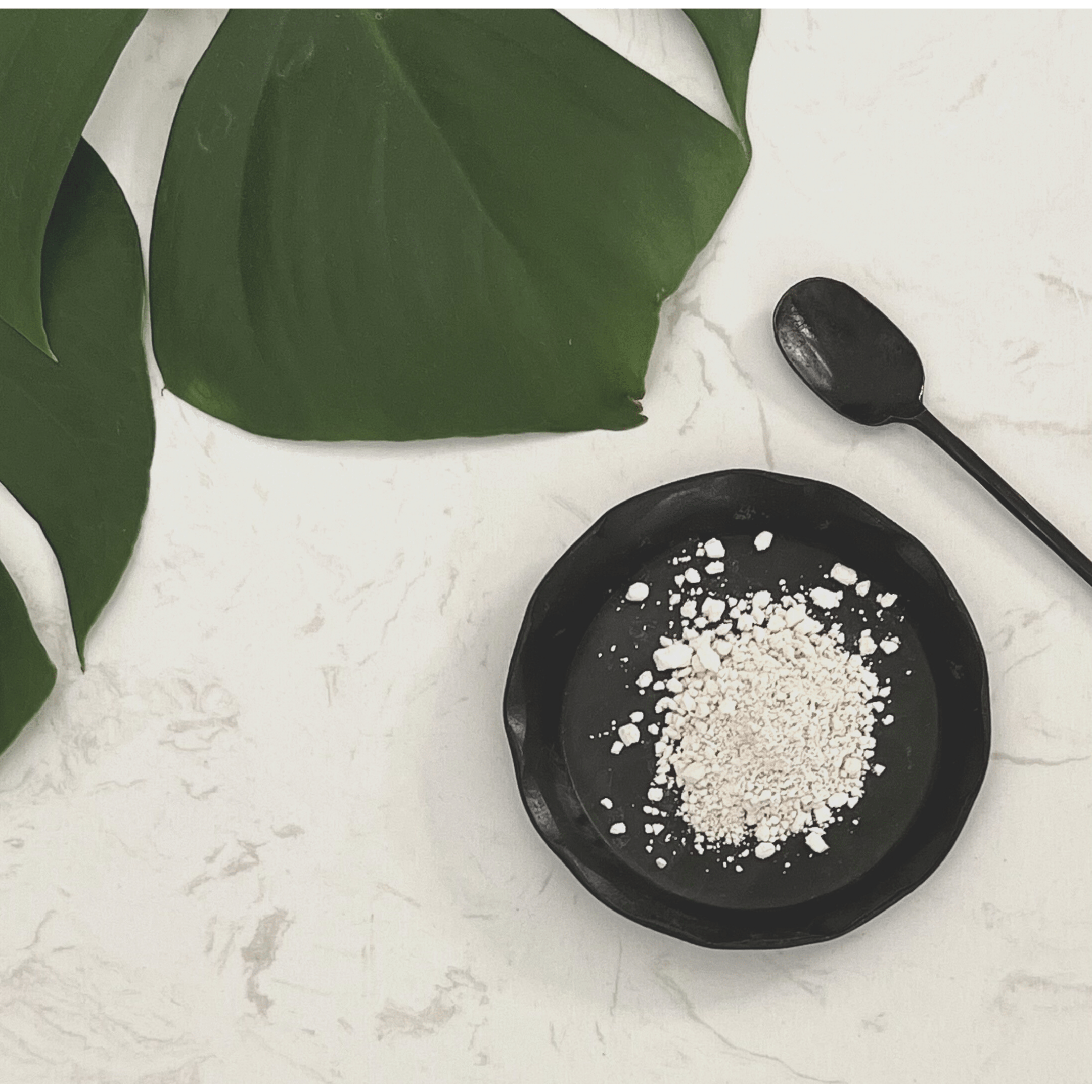 Reseveratrol extract