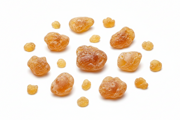 Boswellia serratta (gum resin)