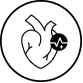 Icon 2